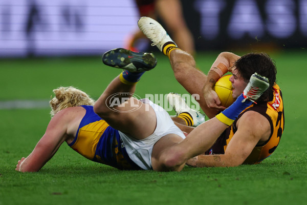 AFL 2025 Round 07 - Hawthorn v West Coast - A-59031525