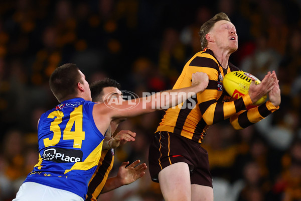 AFL 2025 Round 07 - Hawthorn v West Coast - A-59031535