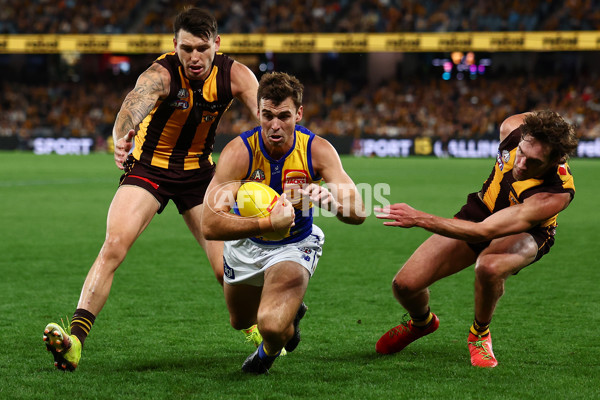 AFL 2025 Round 07 - Hawthorn v West Coast - A-59032079