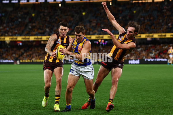 AFL 2025 Round 07 - Hawthorn v West Coast - A-59032080