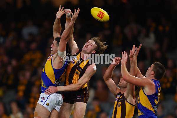 AFL 2025 Round 07 - Hawthorn v West Coast - A-59032082
