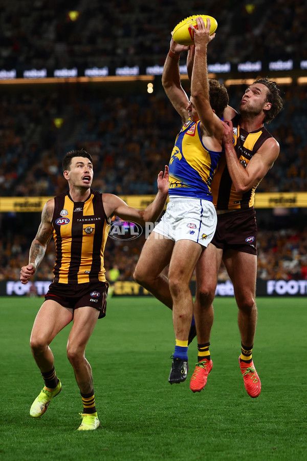 AFL 2025 Round 07 - Hawthorn v West Coast - A-59032083
