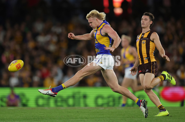 AFL 2025 Round 07 - Hawthorn v West Coast - A-59032084
