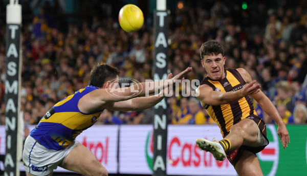 AFL 2025 Round 07 - Hawthorn v West Coast - A-59032092