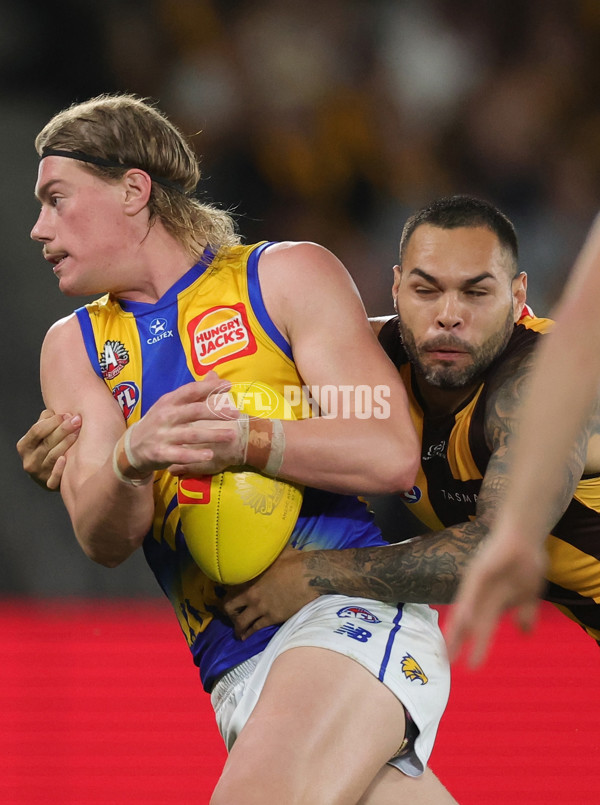 AFL 2025 Round 07 - Hawthorn v West Coast - A-59032099