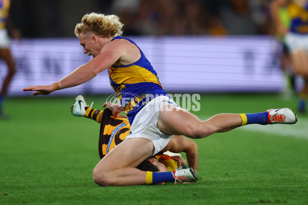 AFL 2025 Round 07 - Hawthorn v West Coast - A-59032118
