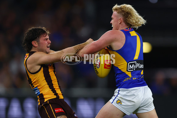 AFL 2025 Round 07 - Hawthorn v West Coast - A-59032122