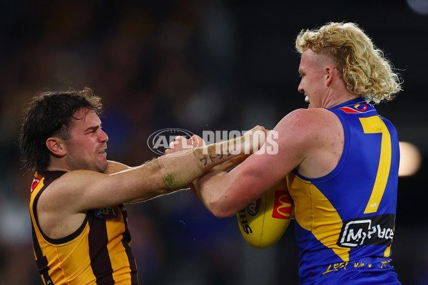 AFL 2025 Round 07 - Hawthorn v West Coast - A-59032124