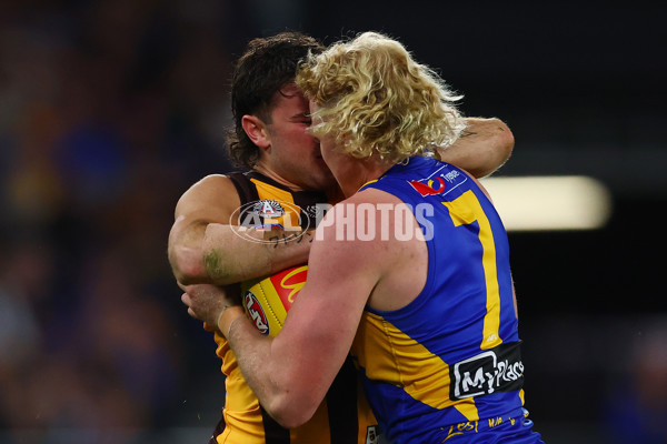 AFL 2025 Round 07 - Hawthorn v West Coast - A-59032126