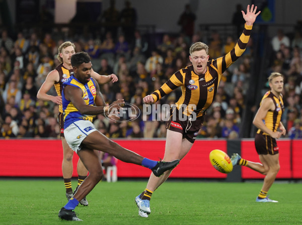 AFL 2025 Round 07 - Hawthorn v West Coast - A-59032128