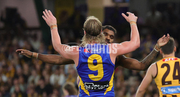 AFL 2025 Round 07 - Hawthorn v West Coast - A-59032129