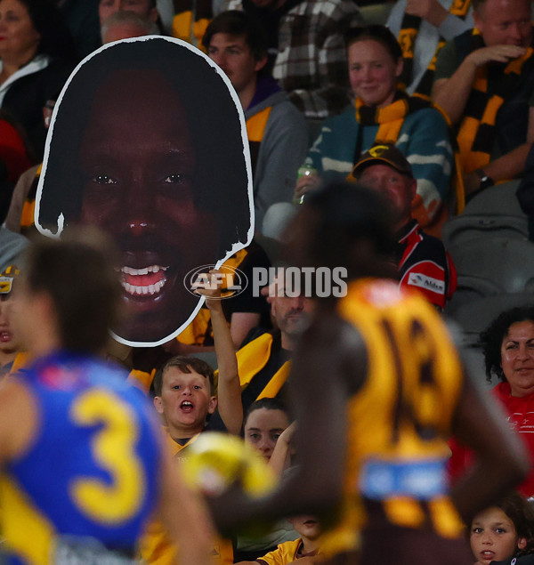 AFL 2025 Round 07 - Hawthorn v West Coast - A-59032142
