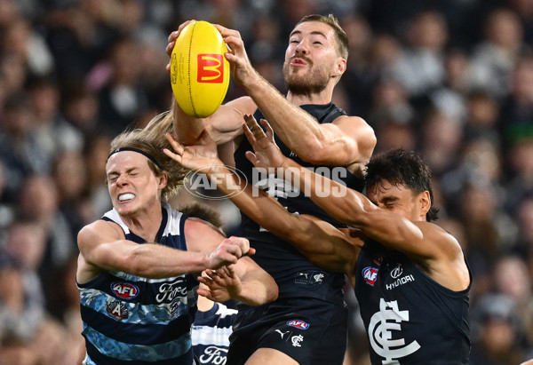 AFL 2025 Round 07 - Carlton v Geelong - A-59032168
