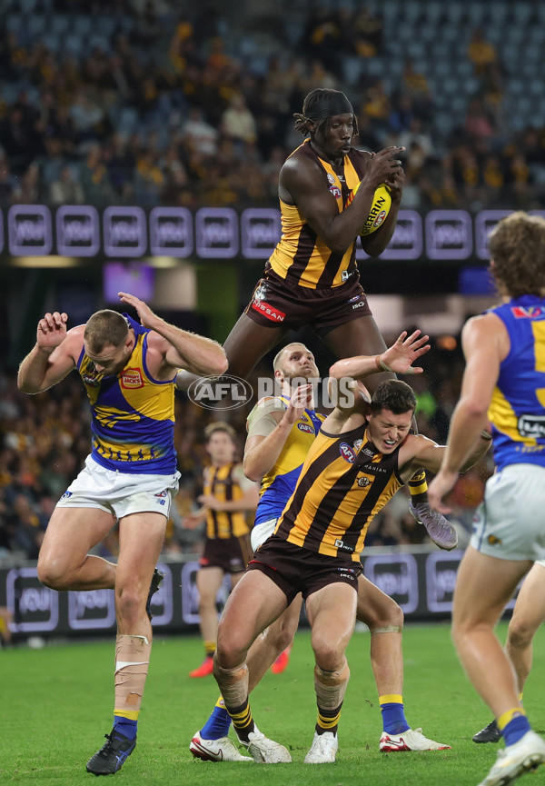 AFL 2025 Round 07 - Hawthorn v West Coast - A-59034238