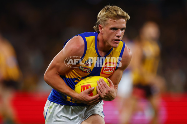 AFL 2025 Round 07 - Hawthorn v West Coast - A-59034256