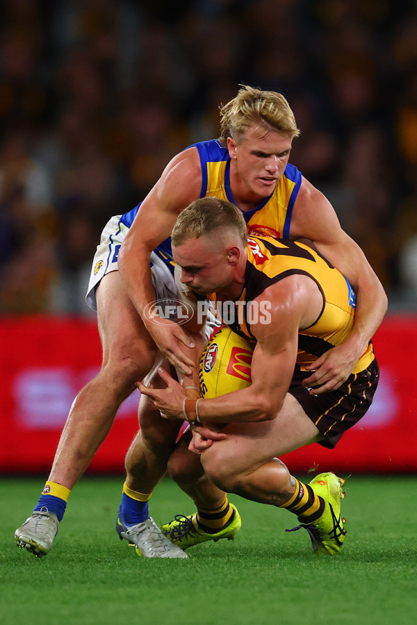 AFL 2025 Round 07 - Hawthorn v West Coast - A-59034257