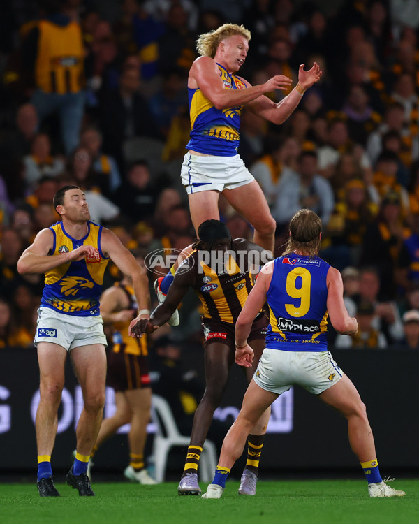 AFL 2025 Round 07 - Hawthorn v West Coast - A-59034271