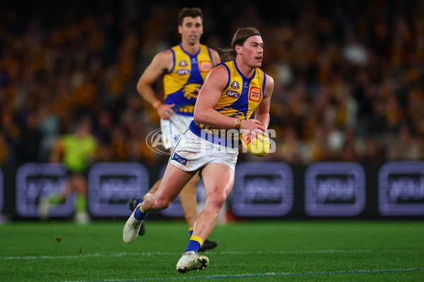 AFL 2025 Round 07 - Hawthorn v West Coast - A-59034280