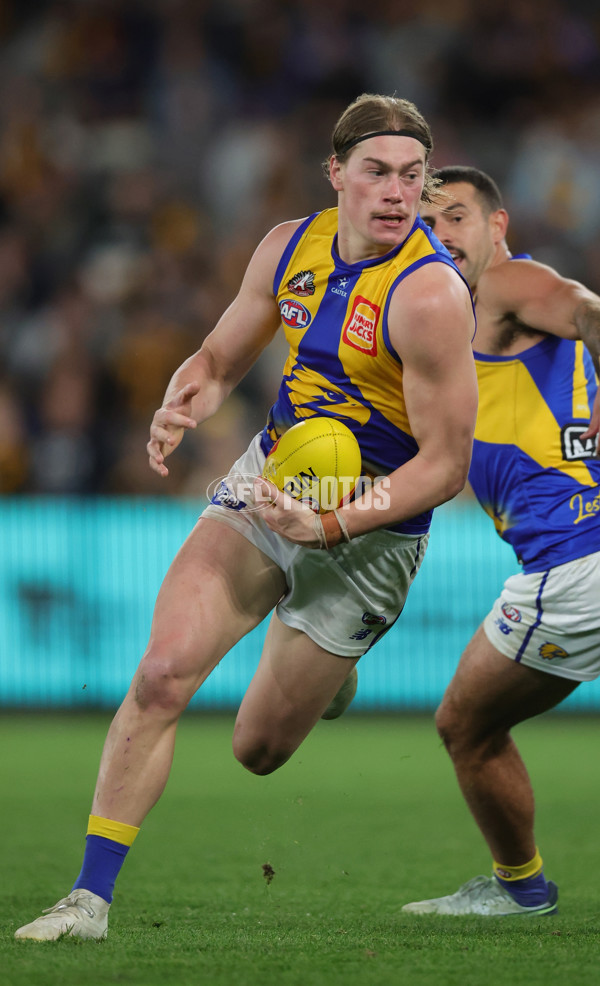 AFL 2025 Round 07 - Hawthorn v West Coast - A-59034515