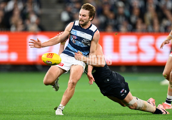 AFL 2025 Round 07 - Carlton v Geelong - A-59034522