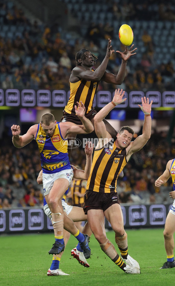 AFL 2025 Round 07 - Hawthorn v West Coast - A-59034547