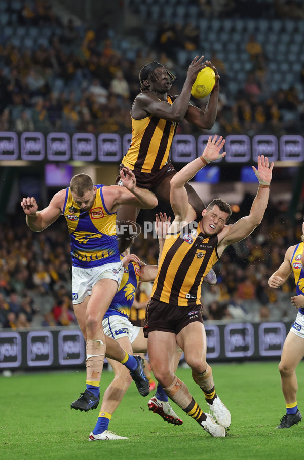 AFL 2025 Round 07 - Hawthorn v West Coast - A-59034548
