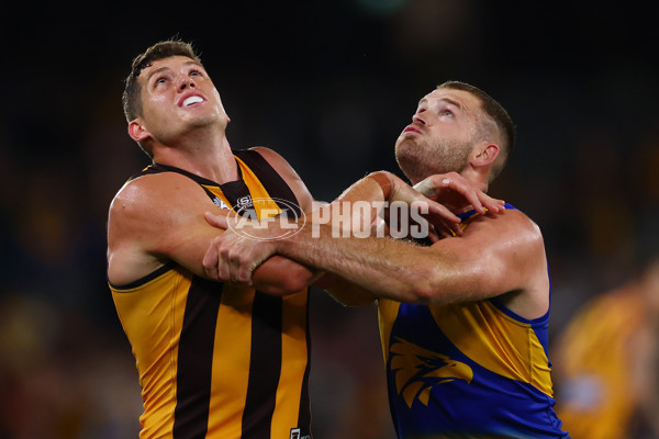 AFL 2025 Round 07 - Hawthorn v West Coast - A-59034559