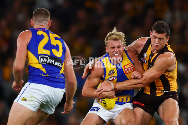 AFL 2025 Round 07 - Hawthorn v West Coast - A-59034567