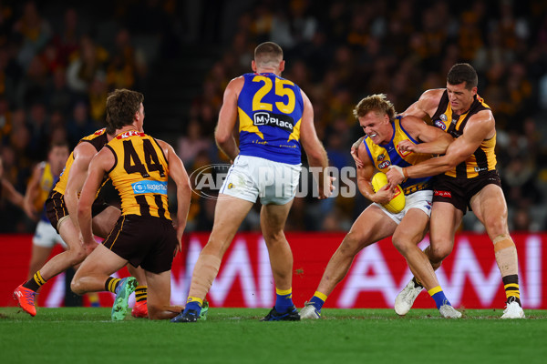 AFL 2025 Round 07 - Hawthorn v West Coast - A-59034568