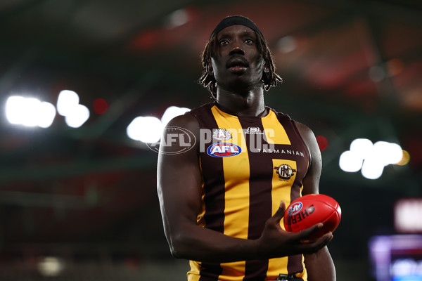 AFL 2025 Round 07 - Hawthorn v West Coast - A-59034598