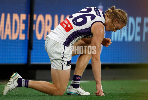 AFL 2025 Round 08 - St Kilda v Fremantle - A-59130985