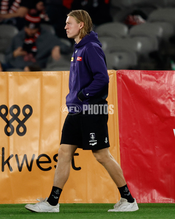 AFL 2025 Round 08 - St Kilda v Fremantle - A-59136972
