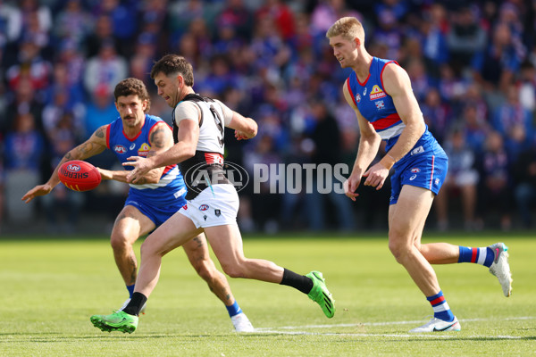 AFL 2025 Round 08 - Western Bulldogs v Port Adelaide - A-59140843