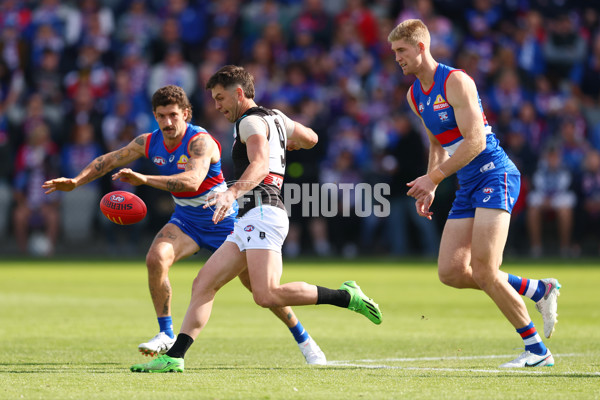 AFL 2025 Round 08 - Western Bulldogs v Port Adelaide - A-59140845