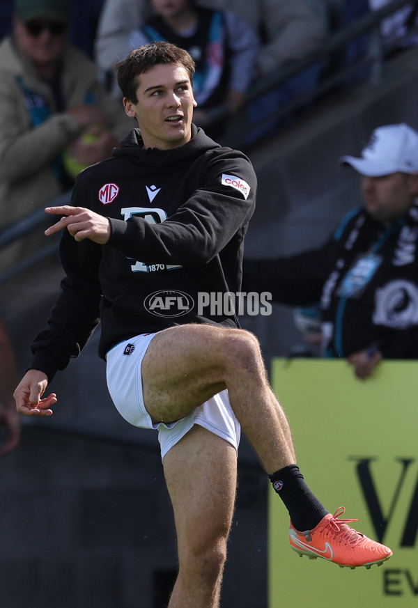 AFL 2025 Round 08 - Western Bulldogs v Port Adelaide - A-59141383
