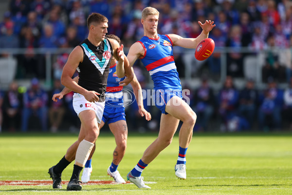 AFL 2025 Round 08 - Western Bulldogs v Port Adelaide - A-59141432