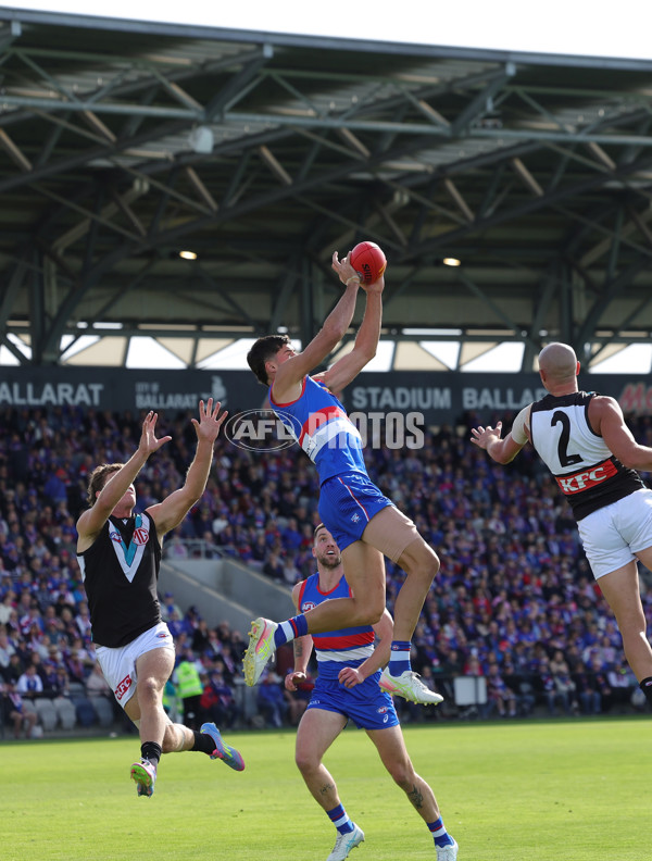 AFL 2025 Round 08 - Western Bulldogs v Port Adelaide - A-59141439