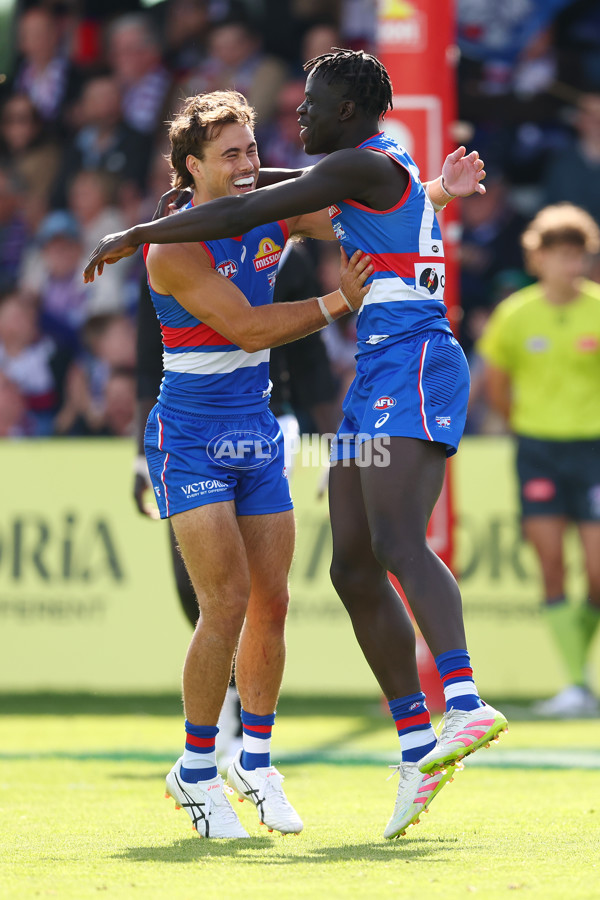 AFL 2025 Round 08 - Western Bulldogs v Port Adelaide - A-59141458