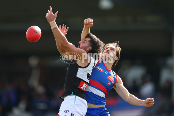 AFL 2025 Round 08 - Western Bulldogs v Port Adelaide - A-59143381
