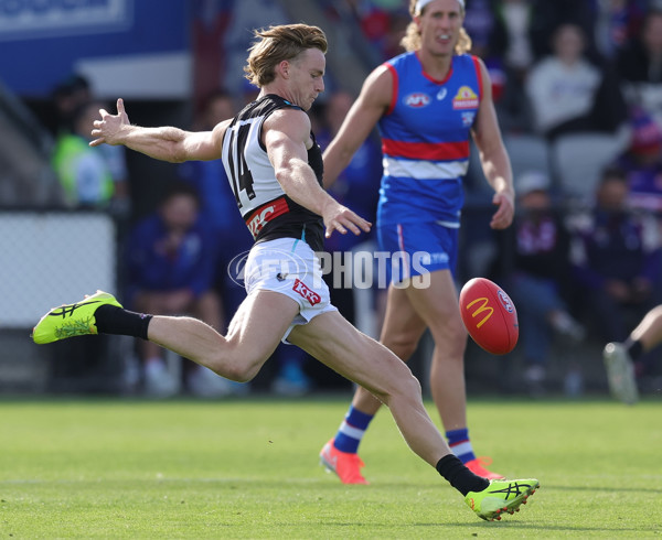 AFL 2025 Round 08 - Western Bulldogs v Port Adelaide - A-59143471