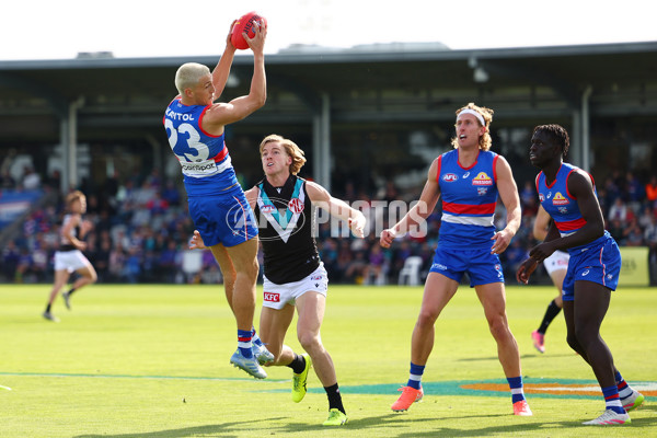AFL 2025 Round 08 - Western Bulldogs v Port Adelaide - A-59144000