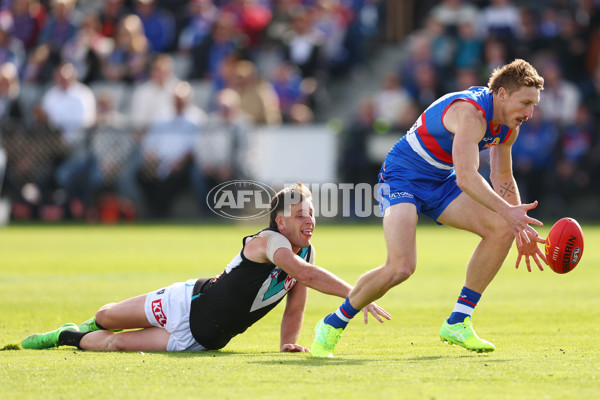 AFL 2025 Round 08 - Western Bulldogs v Port Adelaide - A-59145705