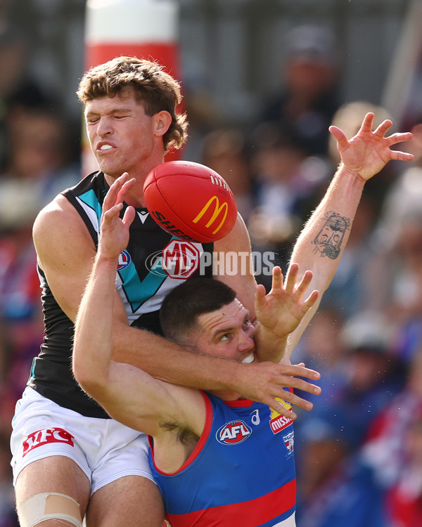 AFL 2025 Round 08 - Western Bulldogs v Port Adelaide - A-59145742