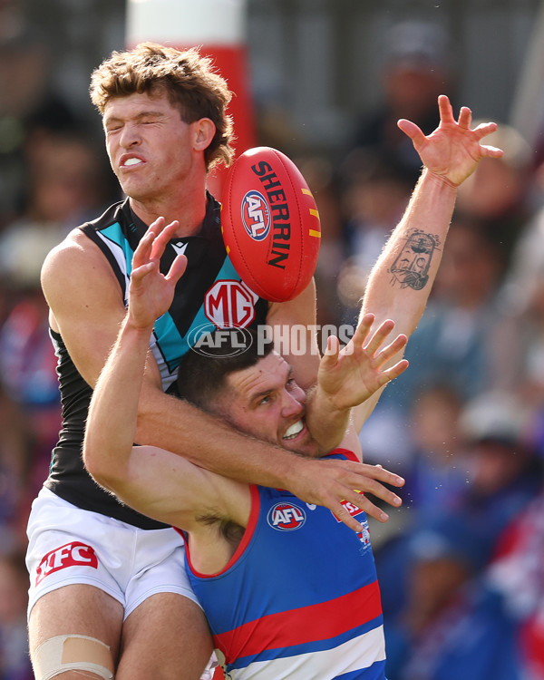 AFL 2025 Round 08 - Western Bulldogs v Port Adelaide - A-59145747