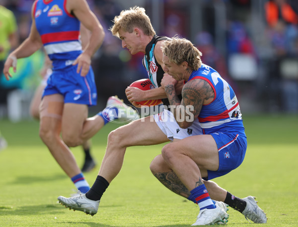 AFL 2025 Round 08 - Western Bulldogs v Port Adelaide - A-59145780