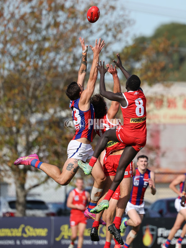 VFL 2025 Round 06 - Northern Bullants v Port Melbourne - A-59145788