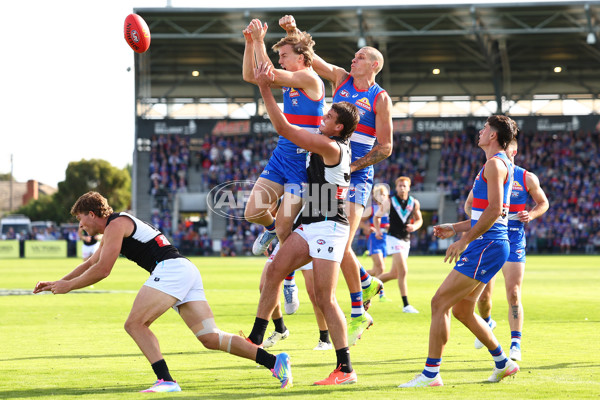 AFL 2025 Round 08 - Western Bulldogs v Port Adelaide - A-59146621