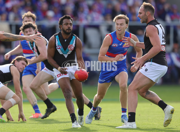 AFL 2025 Round 08 - Western Bulldogs v Port Adelaide - A-59146653