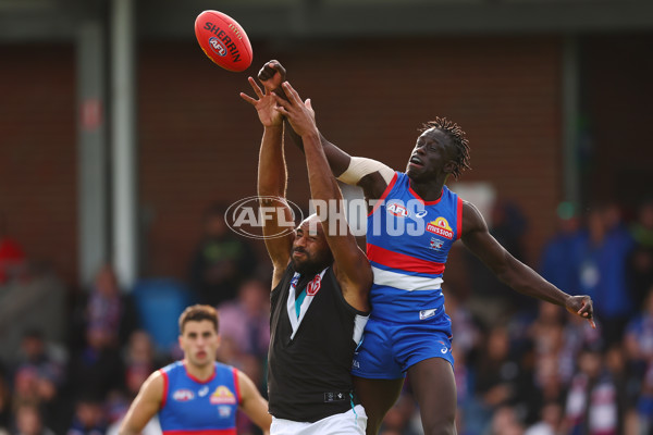 AFL 2025 Round 08 - Western Bulldogs v Port Adelaide - A-59149252
