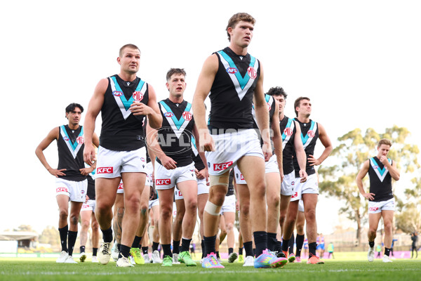 AFL 2025 Round 08 - Western Bulldogs v Port Adelaide - A-59150793